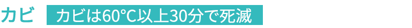 カビは60℃以上30分で死滅