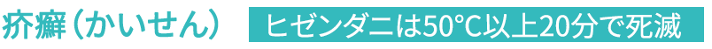 疥癬（かいせん）ヒゼンダニは50℃以上20分で死滅